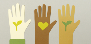 volunteer 7